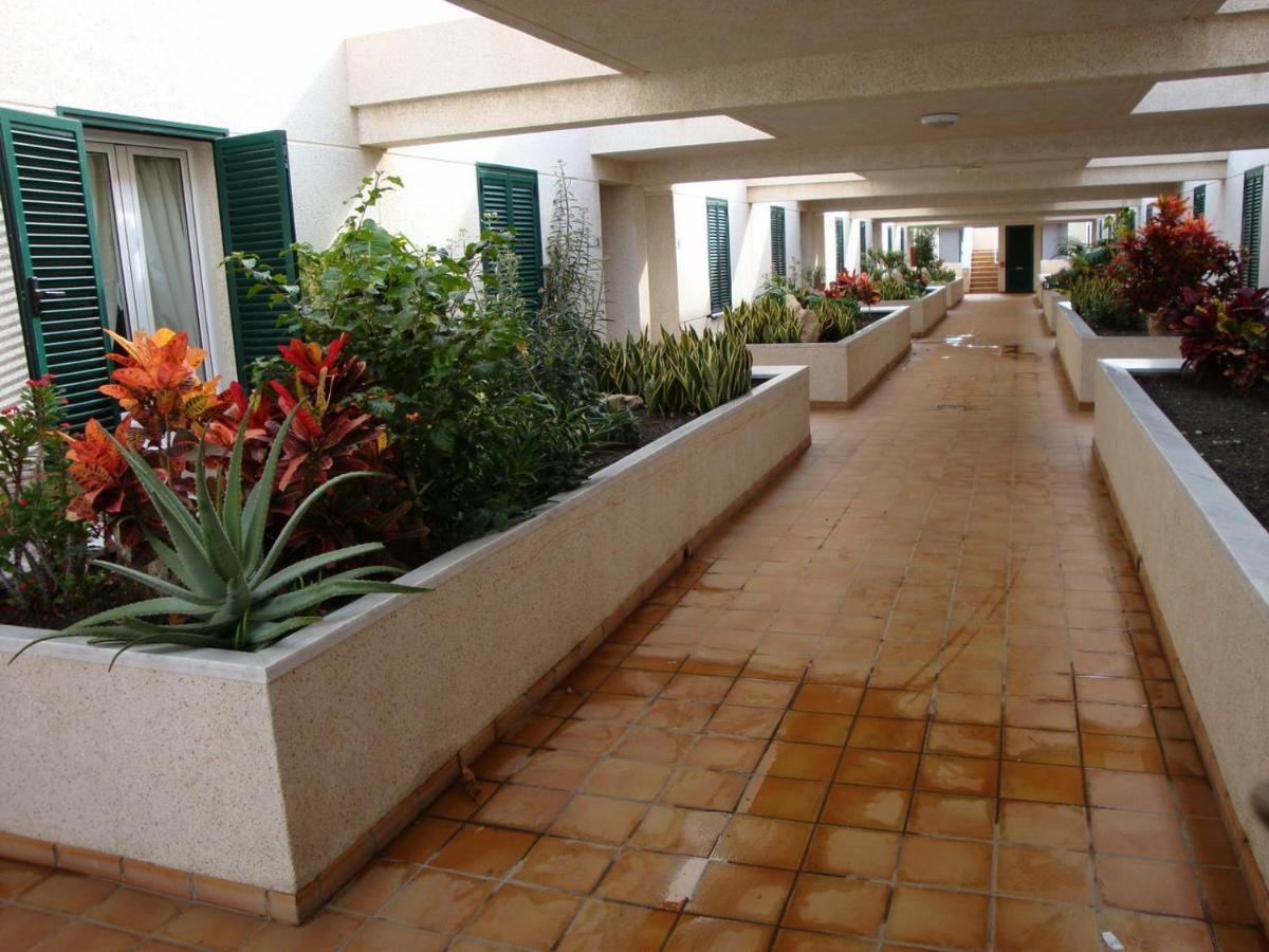 Apartamento Con Jardin Y Piscina En El Balancon Lägenhet El Médano Exteriör bild